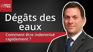 Dégâts des eaux  comment être indemnisé rapidement [upl. by Jehoash]