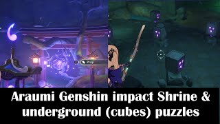 Araumi Genshin impact Shrine amp underground puzzlesCleansing defilement Quest location [upl. by Acinnej]