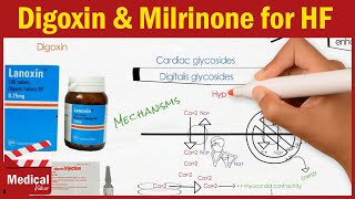 Pharmacology CVS 12 Heart Failure Treatment Part 2 Digoxin  Dobutamine  Dopamine  Milrinone [upl. by Stead]