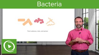 Bacteria Structure amp Types – Microbiology  Lecturio [upl. by Fitts]