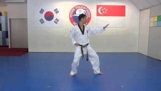 Green Belt Pattern by Hyun TKD Academy [upl. by Rieger633]