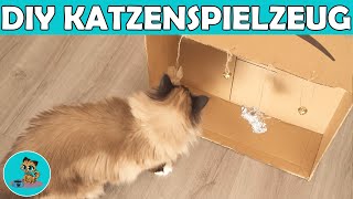 Katzenspielzeug selber basteln  Günstige Bastelideen DIY ✅ [upl. by Shriner]