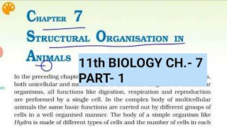 Class 11 BiologyCh7 Part1Structural organisation in AnimalsStudy with Farru [upl. by Oicul]