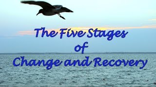 The Five Stages of Change and Recovery [upl. by Felicidad]