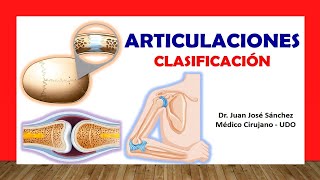 🥇 ARTICULACIONES Clasificación Fácil Rápida y Sencilla [upl. by Bever227]