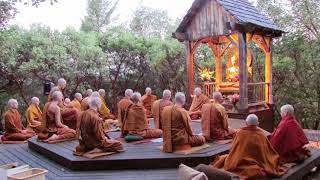 Pali Chanting In The Abhayagiri Buddhist Monastery  Theravada Buddhism [upl. by Griswold]