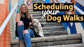 How a Dog Walker Schedules Walks [upl. by Micaela]