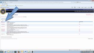 How to find a 10K report on the SEC website [upl. by Schreck]
