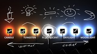 White Balance amp Kelvin Color temp explained 💡 [upl. by Mortimer]