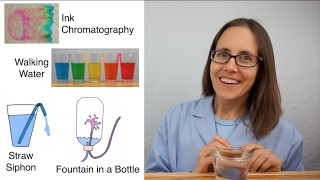 Science Moms Guide to Water Part 3  Capillary Action [upl. by Goto]