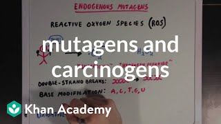 Mutagens and carcinogens  Biomolecules  MCAT  Khan Academy [upl. by Westphal]