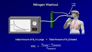 Pulmonary Function Tests PFT Lesson 3  Lung Volumes [upl. by Markos]