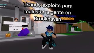 Usando exploits para molestar a gente en Brookhaven 😈  Leistonrblx [upl. by Nnateragram]