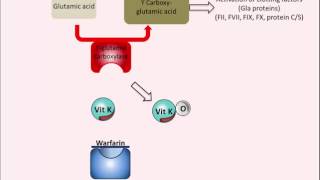 Pharmacology  Antiplatelet nursing RN PN NCLEX [upl. by Akere]