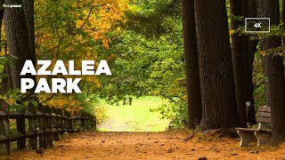 Azalea Park 4K [upl. by Pretrice]