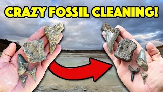 How to Clean Your Fossils Satisfying Time Lapse [upl. by Nonarb765]