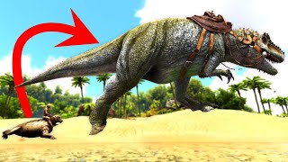 All Rideable Dinosaurs and Creatures on The Island Ark Survival Evolved [upl. by Barri]