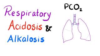 Respiratory Acidosis amp Alkalosis  AcidBase Imbalance [upl. by Ferrand256]