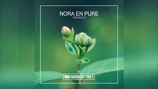 Nora En Pure  Fibonacci [upl. by Taber]