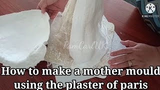 HOW TO MAKE A PLASTER OF PARIS MOLD [upl. by Araek848]