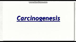 Chemical Carcinogenesis [upl. by Eilesor]