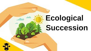 Ecological SuccessionPrimary and Secondary [upl. by Mundy]