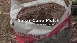 Sugar Cane Mulch in Your Garden  How to Use it and Application Rates [upl. by Drageruaeb704]