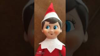 ELF ON THE SHELF CAUGHT TALKING [upl. by Seabrook]