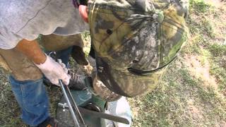 Hoof trimming Farrier correcting 3 unbalanced horse hooves [upl. by Lanahtan680]