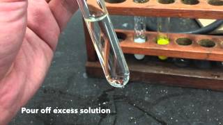 Anion Test  Sulfate Ions [upl. by Ris]