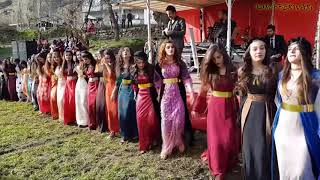 Kurdish Dance  Baile kurdo [upl. by Enaelem]