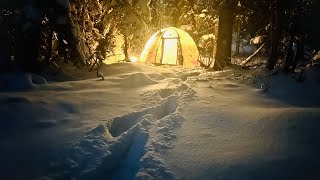 30 FREEZING COLD SOLO WINTER CAMPING [upl. by Nowaj]