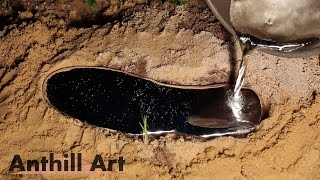 Five Fire Ant Colony Casting Session Part 3 Casts 4 amp 5 [upl. by Eldwon]