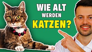 Wie alt werden Katzen  Lebenserwartung von Katzen Tierarzt klärt auf [upl. by Sebbie]