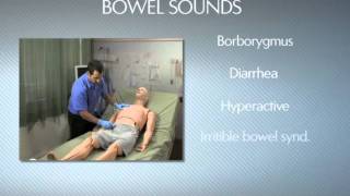 HAL® S3201  Part 9  Bowel sounds [upl. by Lyndsey]