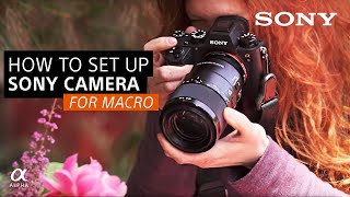 How To Set Up Your Sony Camera For Macro  Sony Alpha Universe [upl. by Ynolem]