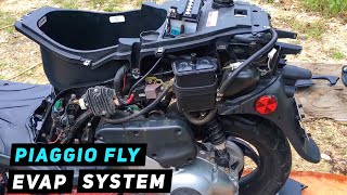 Piaggio Fly  How To Remove Evap System  Mitchs Scooter Stuff [upl. by Plerre]