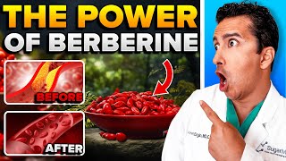 Berberine A Natural Protector Against Diabetes [upl. by Posner]