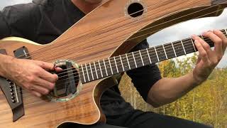 Have You Ever Seen The Rain  CCR  Harp Guitar Cover  Jamie Dupuis [upl. by Osugi418]