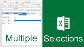 Excel Drop Down List Multiple Selection [upl. by Eylhsa258]