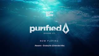 Purified Radio 371 [upl. by Adnovoj]