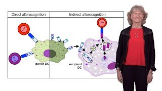 Megan Sykes Columbia U 1 Introduction to Transplantation [upl. by Eelyrehc]