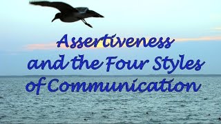 Assertiveness and the Four Communication Styles [upl. by Meill]