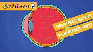 Wanneer ben je kleurenblind [upl. by Maye]