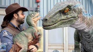 Jurassic World Raptor Experience Universal Studios [upl. by Nodnorb]