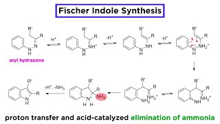 Fischer Indole Synthesis [upl. by Bride730]