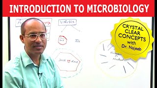 Introduction to Microbiology [upl. by Ayanej800]