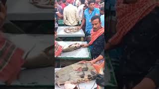 Todays Daulatdia fish market [upl. by Ayotal752]