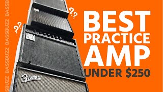 Best Beginner Bass Amp Group Review [upl. by Nilekcaj]