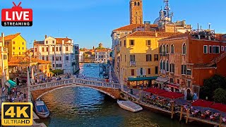 🔴 4K Live Cam of Ponte delle Guglie Venice  View from Hotel Leone Venezia  Live stream ライブカメラ [upl. by Carine359]